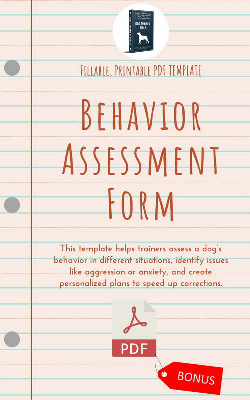 Behavior-Assessment-Form3