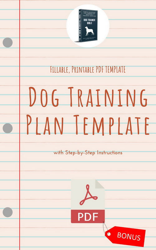 Dog-Training-Plan-Template1